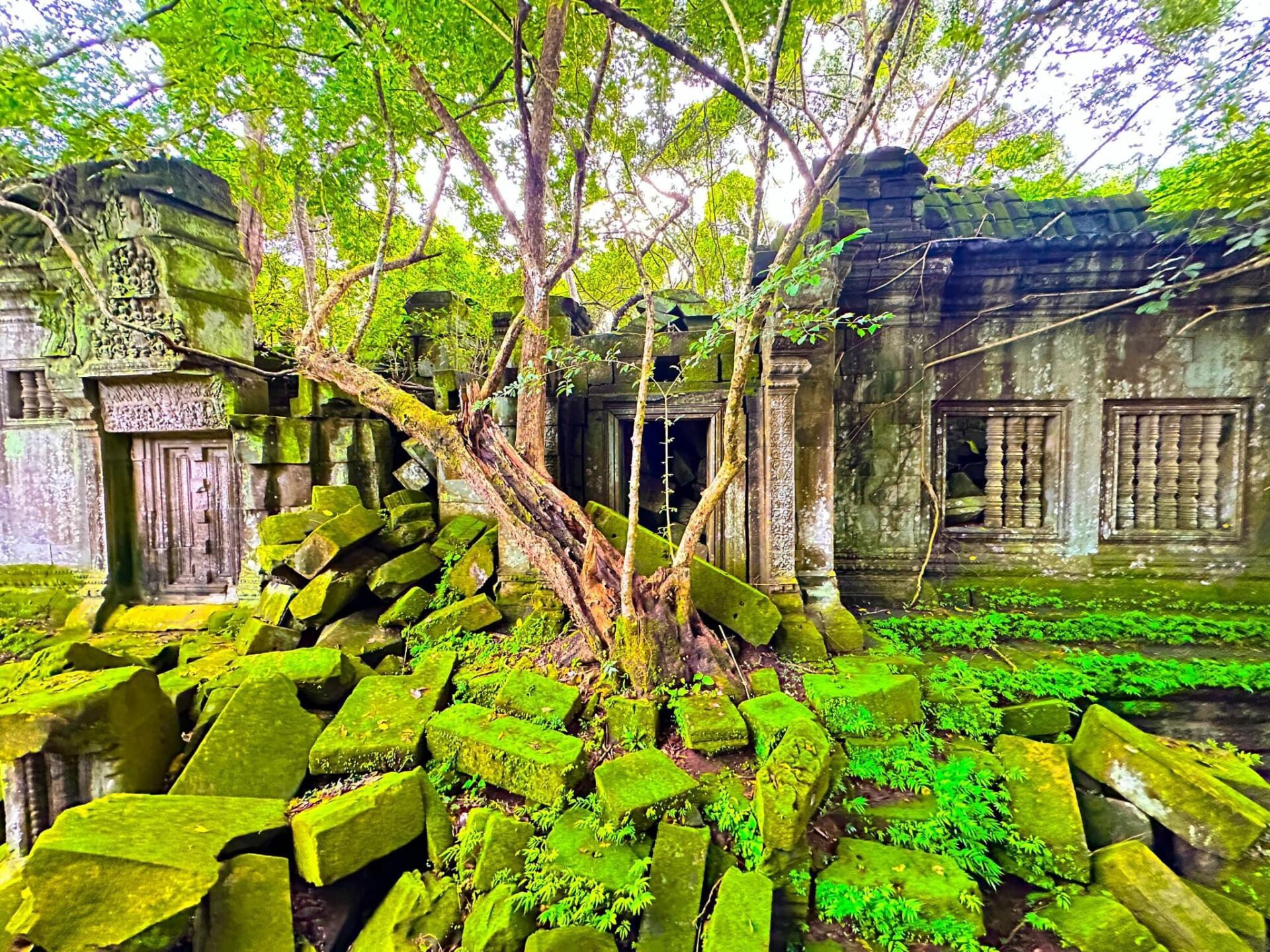 Why You Should Take a Trip to Visit Beng Melea Temple